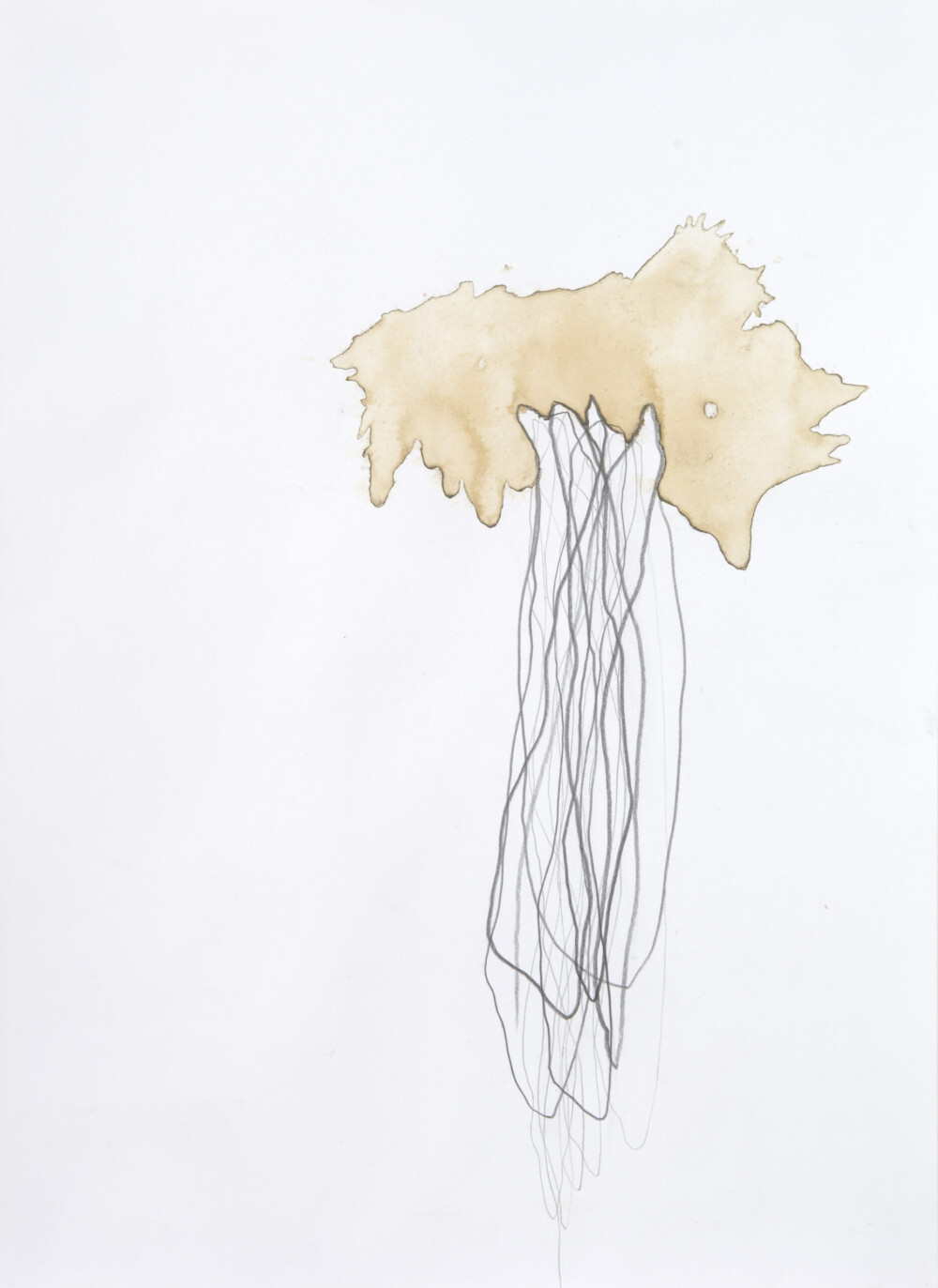 Ashvem “Bodhi-Baum" 2005/2006