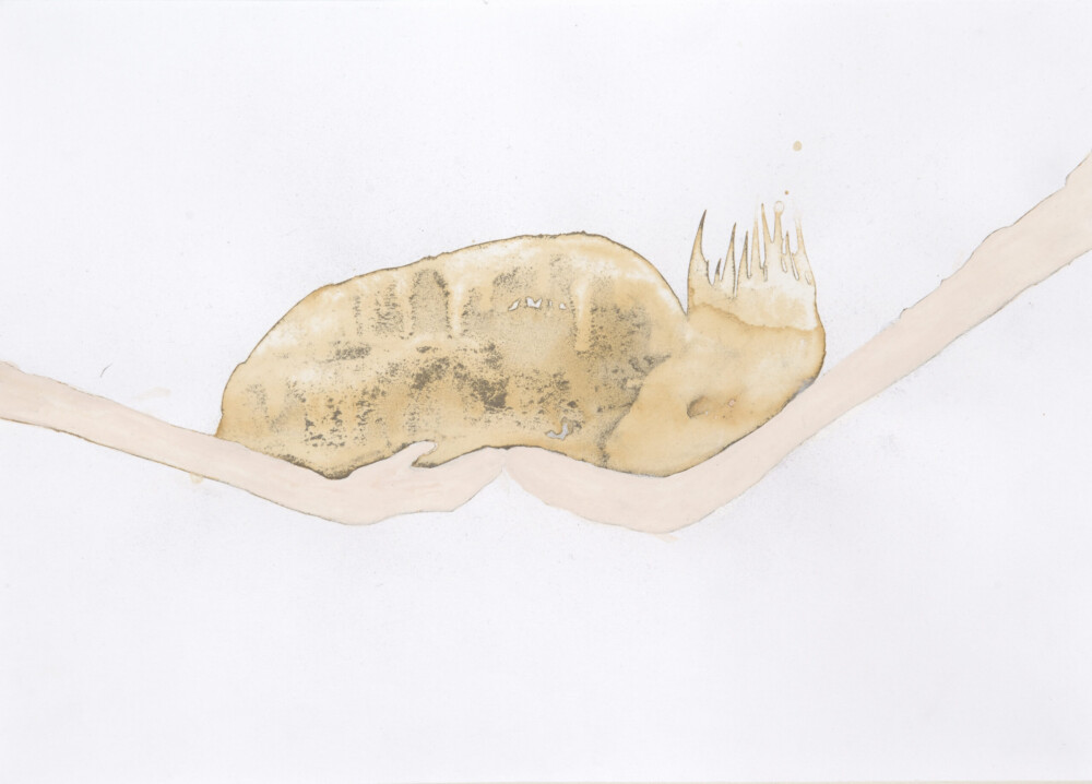 Ashvem “O.T.“ 2005/2006