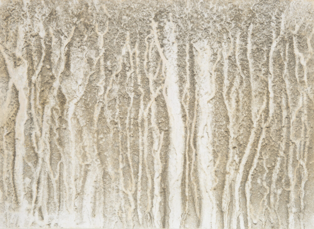 Ashvem “O.T." 2005/2006