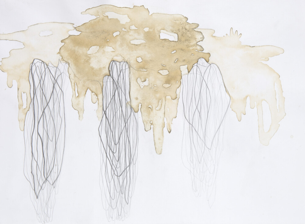 Ashvem “Bodhi-Baum" 2005/2006