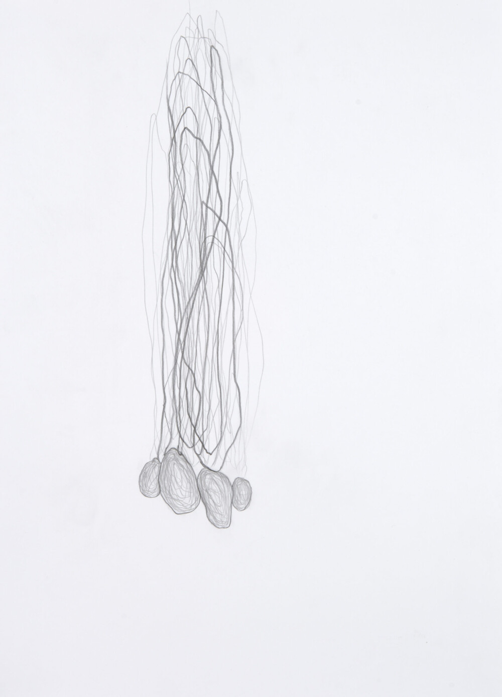 Ashvem “Bodhi-Baum" 2005/2006