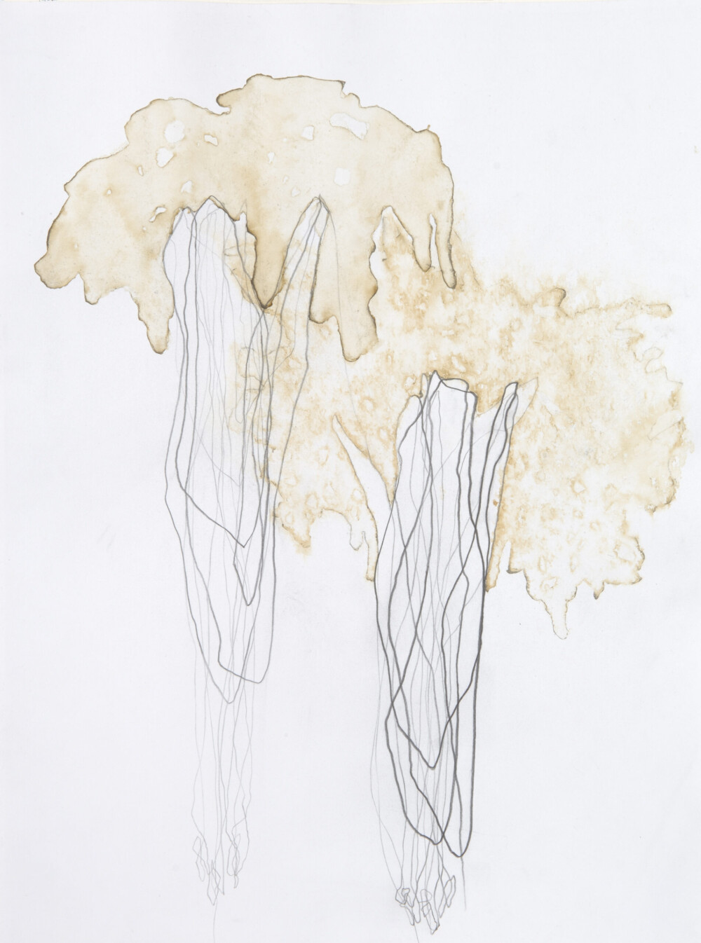 Ashvem “Bodhi-Baum" 2005/2006