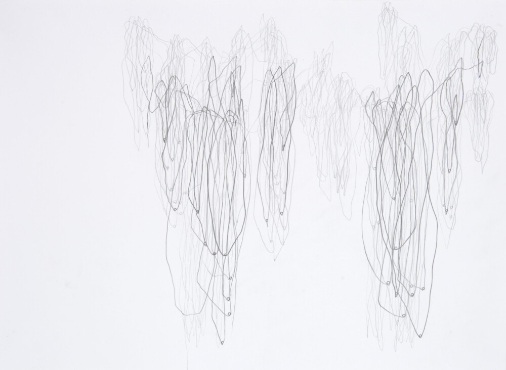 Ashvem “Bodhi-Baum" 2005/2006