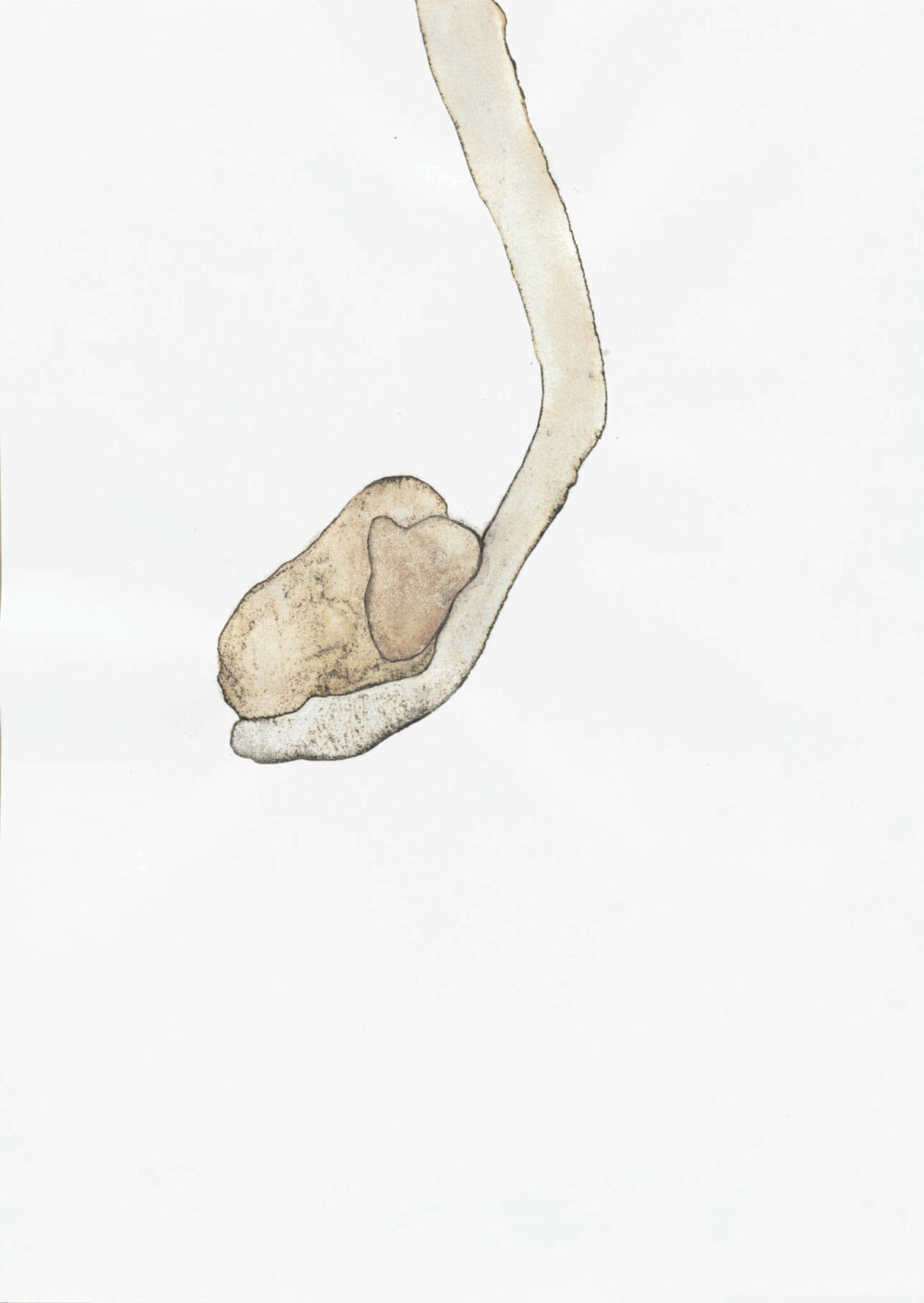 Ashvem "Sleep" 2005/2006