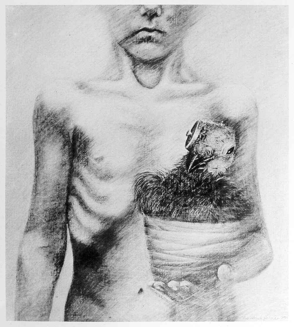 Experiment Taube 1977