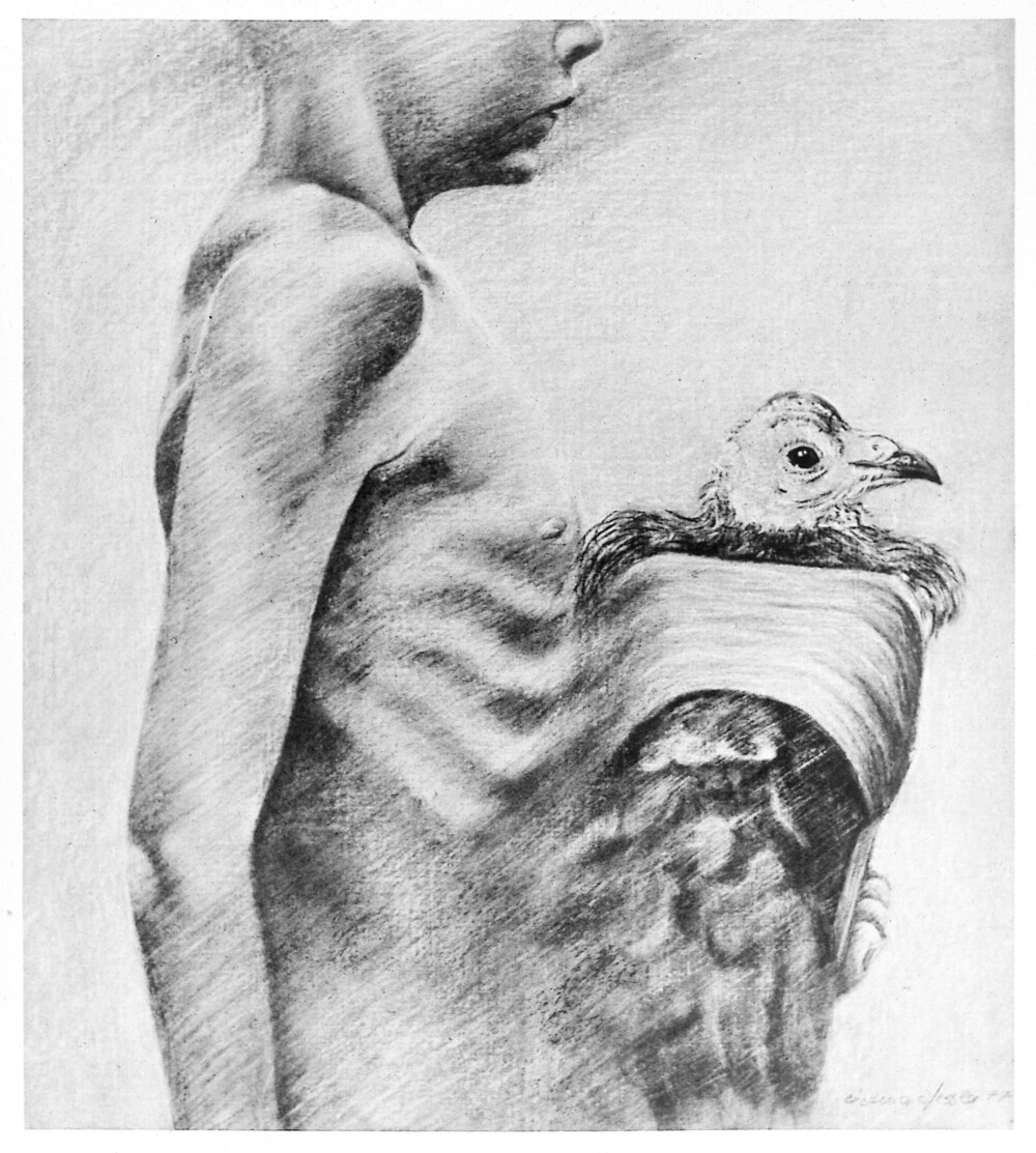 Experiment Taube 1977