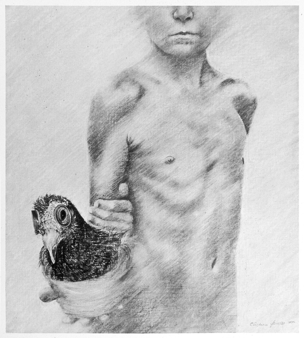 Experiment Taube 1977