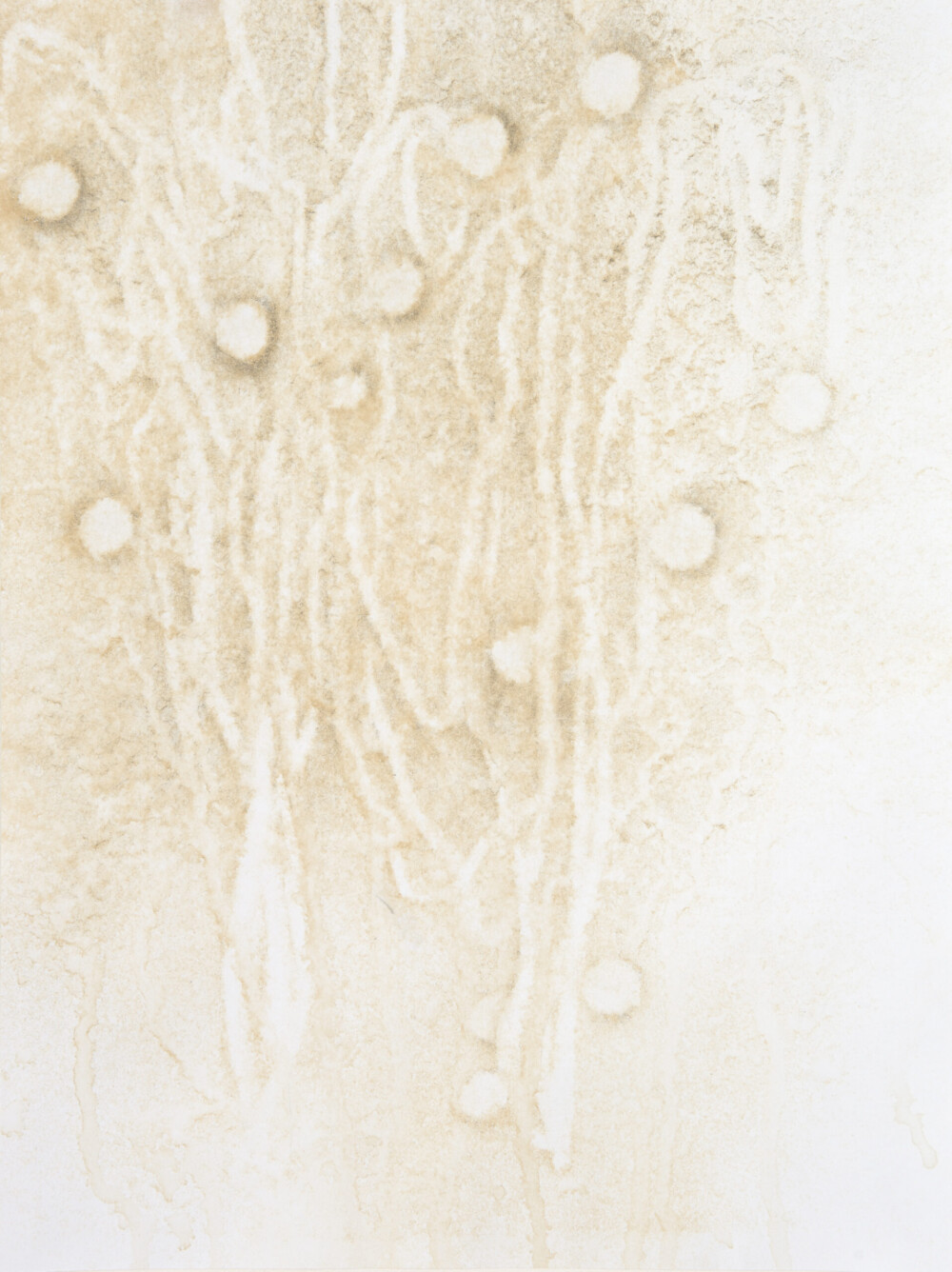 Ashvem “O.T." 2005/2006